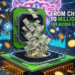 Nvidia Stock