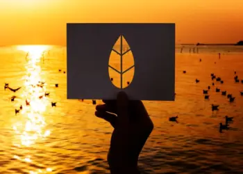 Conservation Revolution