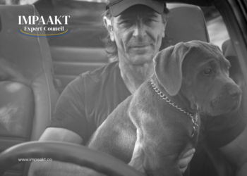 One Journey -Sigmar Berg