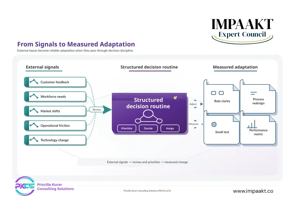 PKCS systems diagram showing external signals moving through a structured decision routine into measured adaptation outputs.